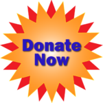donate now button